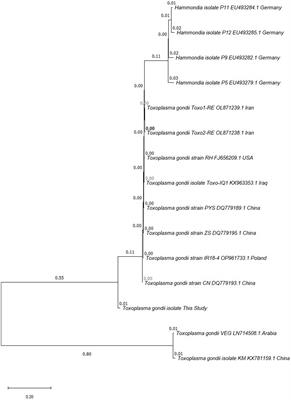 Serological and molecular survey of Toxoplasma gondii infection and associated risk factors in urban cats in Kunming, Southwest China